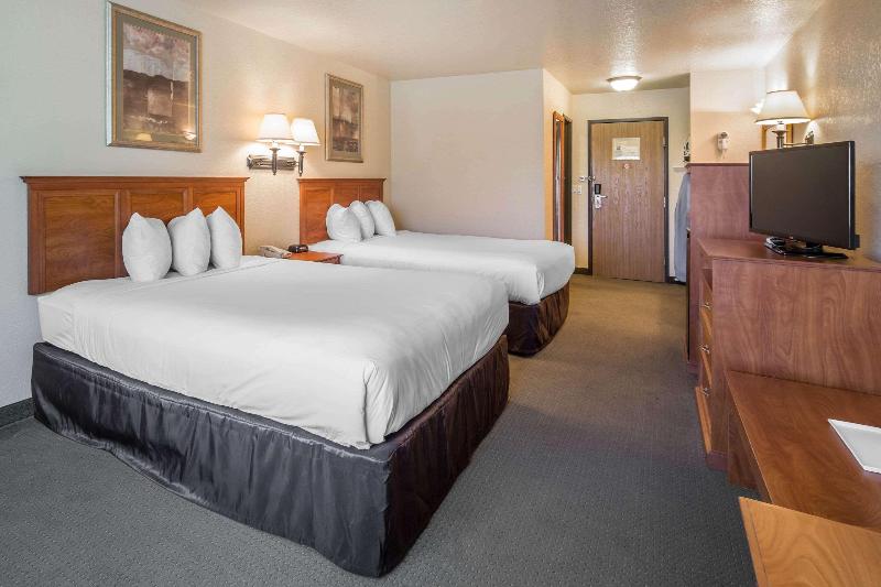 キングサイズベッドのスタンダードルーム, Holiday Inn Express Hotel & Suites Lenoir City Knoxville Area, An Ihg