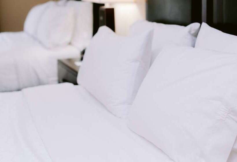 Люкс Адаптированный для Инвалидов, Holiday Inn Express Hotel Raleigh Southwest, An Ihg