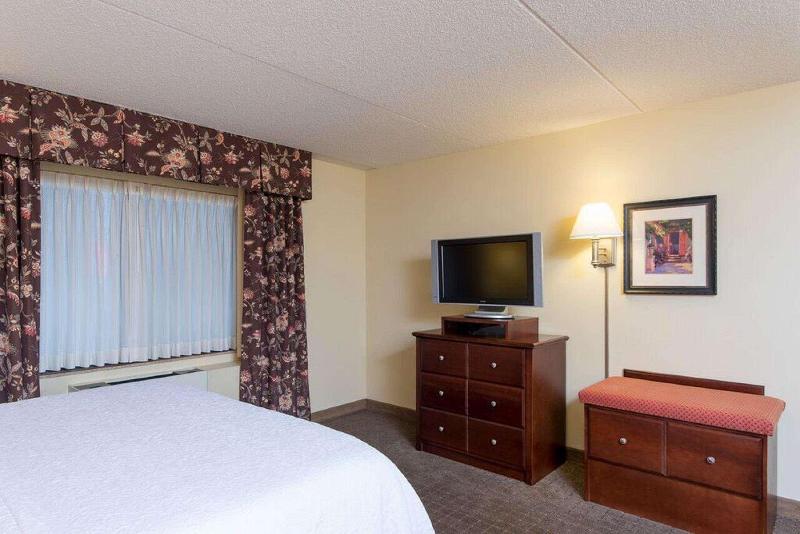 스탠다드 룸 킹사이즈 침대, Hampton Inn Schenectady Downtown