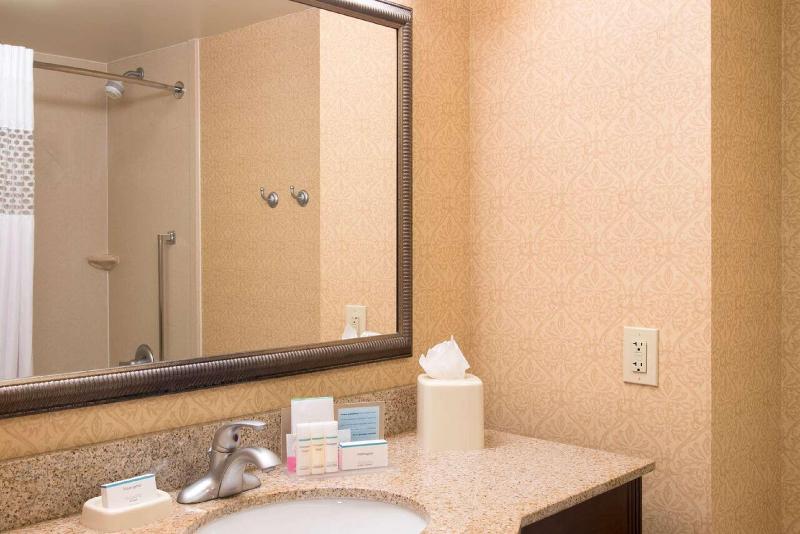스탠다드 룸 킹사이즈 침대, Hampton Inn Schenectady Downtown