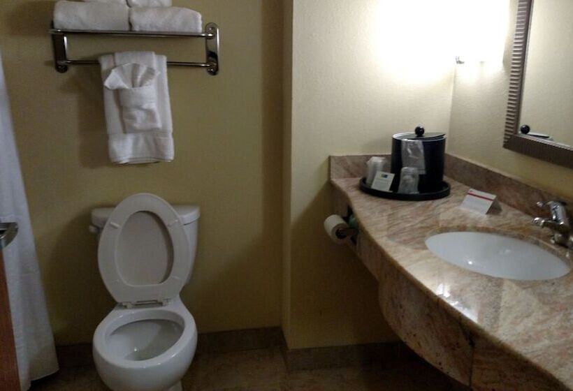 Номер Стандарт, Holiday Inn Express Hotel & Suites Perry, An Ihg