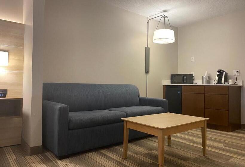Люкс Кровать Кинг, Holiday Inn Express Hotel & Suites Logansport, An Ihg