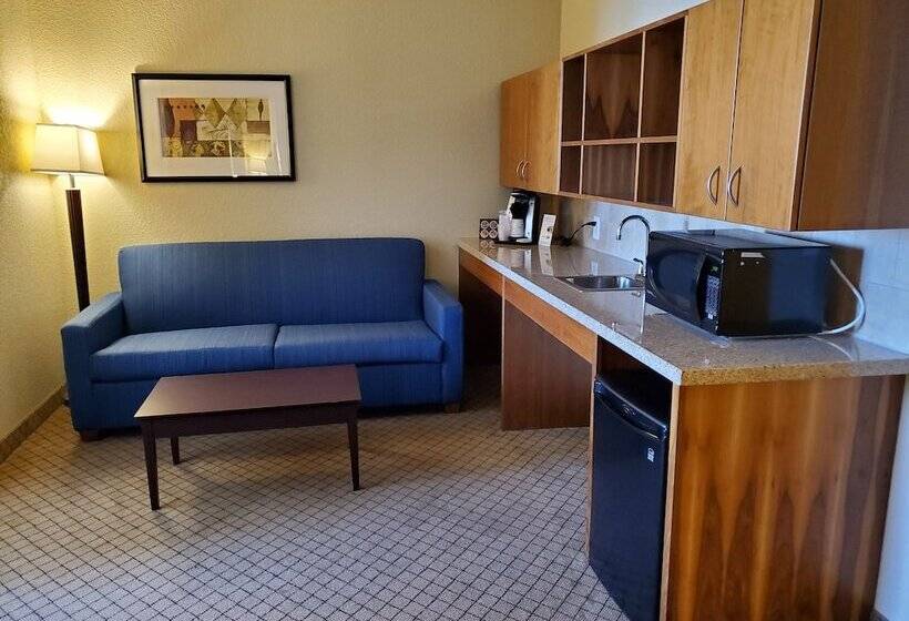 Люкс Адаптированный для Инвалидов, Holiday Inn Express Hotel & Suites Mankato East, An Ihg