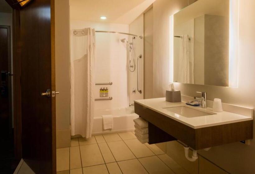 Люкс Адаптированный для Инвалидов, Holiday Inn Express Hotel & Suites Mankato East, An Ihg