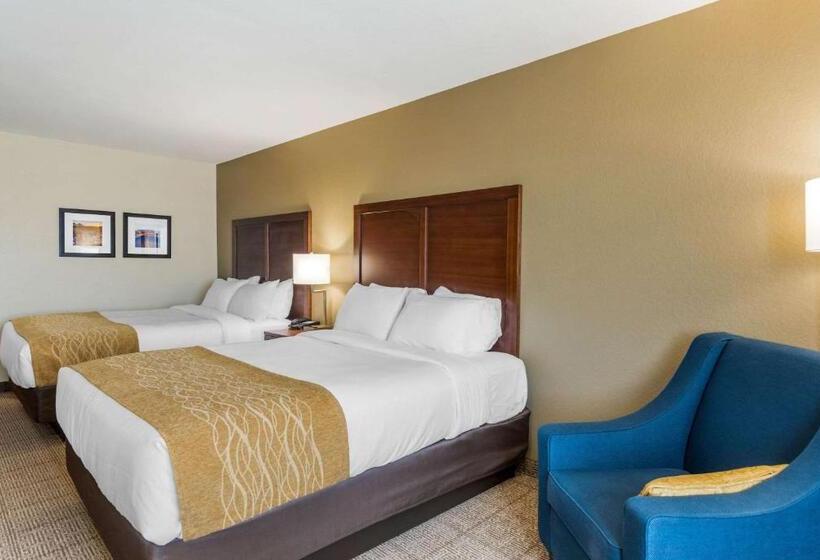 标准间, Comfort Inn & Suites