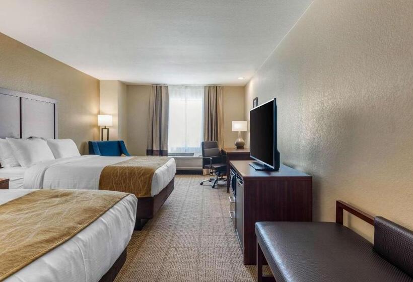 标准间, Comfort Inn & Suites