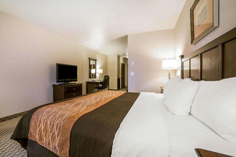 سوئیت با تخت بزرگ, Comfort Inn & Suites Henderson  Las Vegas