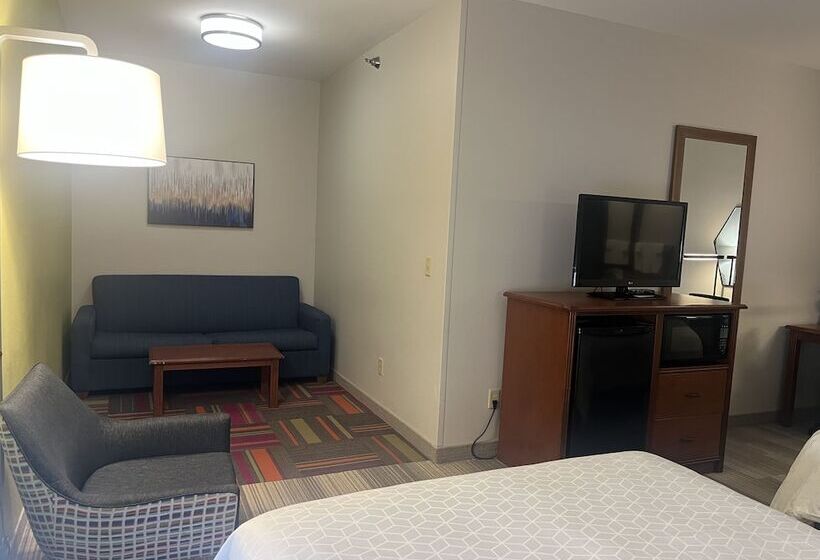 Номер Стандарт, Holiday Inn Express Hotel & Suites Sioux Falls At Empire Mall, An Ihg