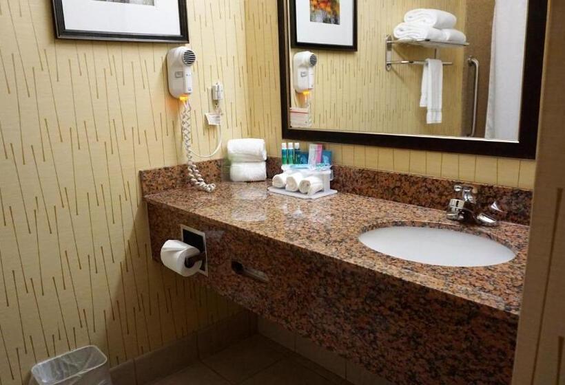 小型套房, Holiday Inn Express & Suites Gibson, An Ihg