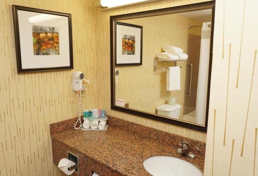 标准间, Holiday Inn Express & Suites Gibson, An Ihg