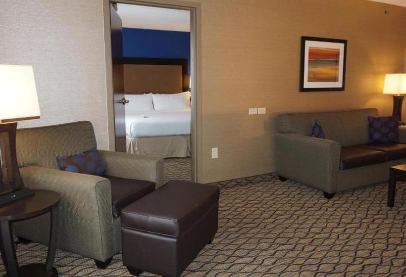 适合残疾人士使用的套间, Holiday Inn Express & Suites Gibson, An Ihg