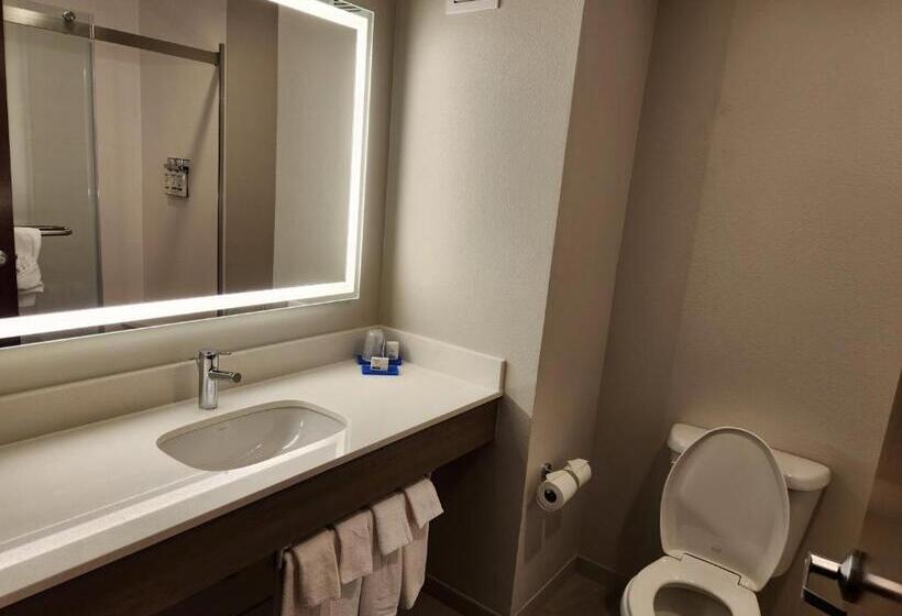 Люкс, Holiday Inn Express & Suites Perry, An Ihg
