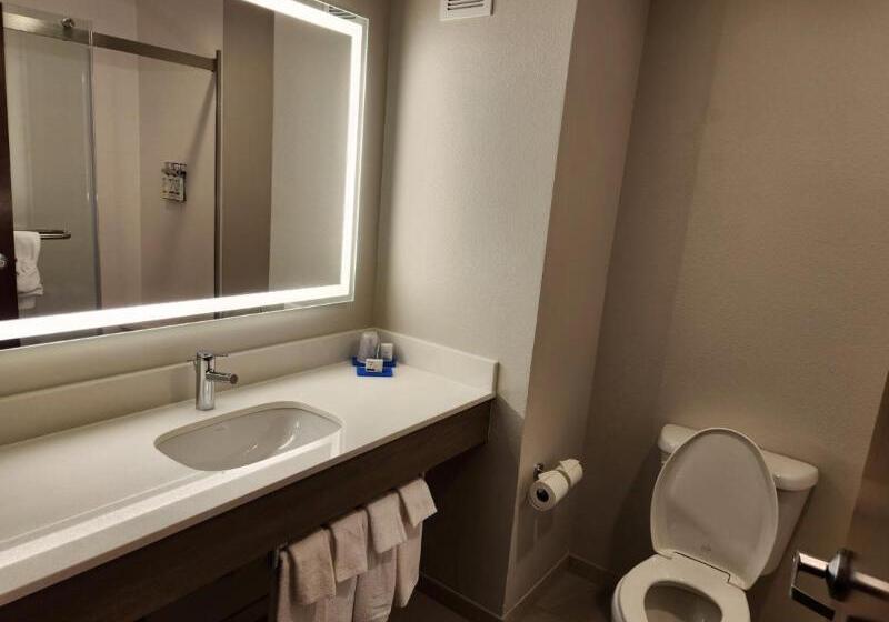 Люкс Кровать Квин, Holiday Inn Express & Suites Perry, An Ihg