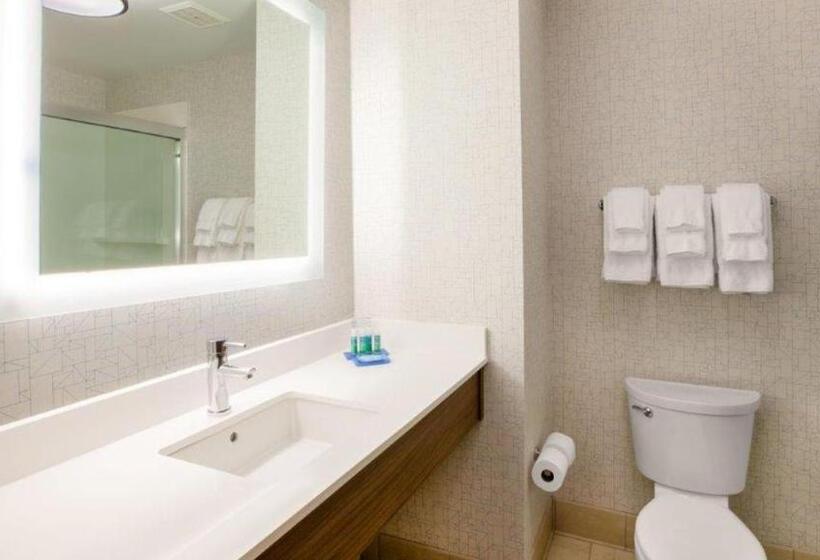 Номер Executive Кровать Кинг, Holiday Inn Exp Walterboro By Ihg