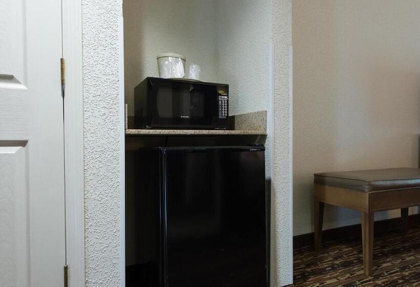 Номер Стандарт Кровать Кинг Адаптированный для Инвалидов, Holiday Inn Exp Walterboro By Ihg