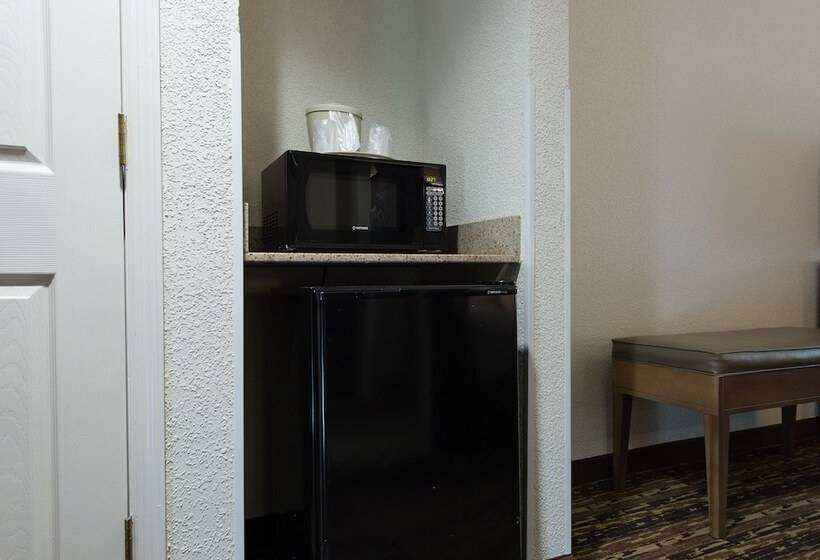Номер Стандарт Двуспальная Кровать Адаптированный для Инвалидов, Holiday Inn Exp Walterboro By Ihg