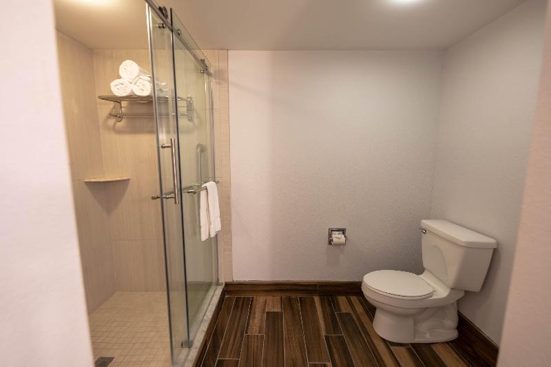스위트 킹사이즈 침대, Holiday Inn Manahawkin/long Beach Island, An Ihg
