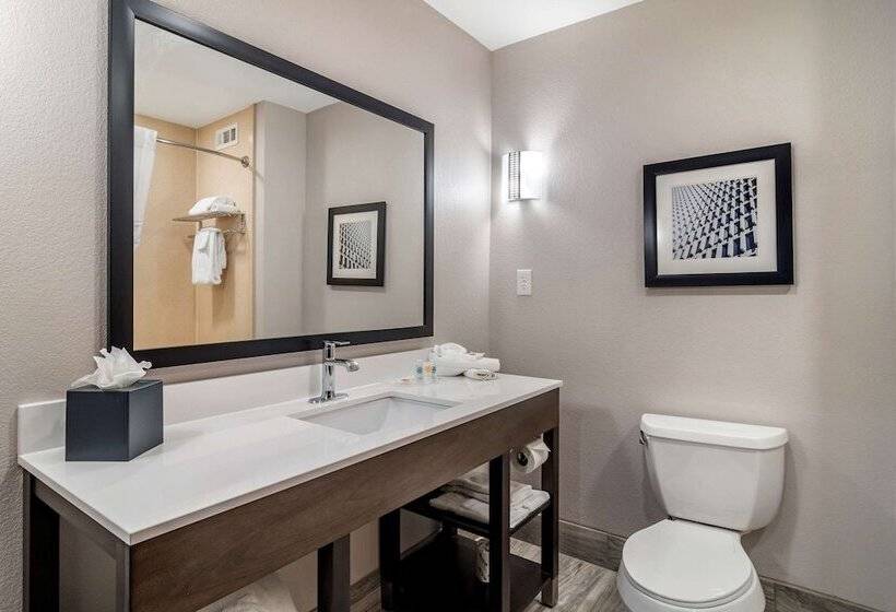 Люкс, Comfort Suites Mcdonough Atlanta South