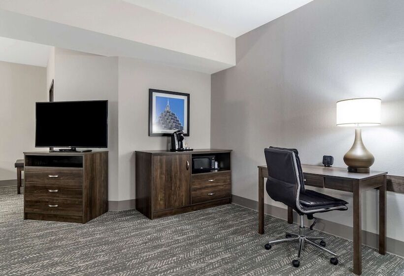 Люкс Адаптированный для Инвалидов, Comfort Suites Mcdonough Atlanta South
