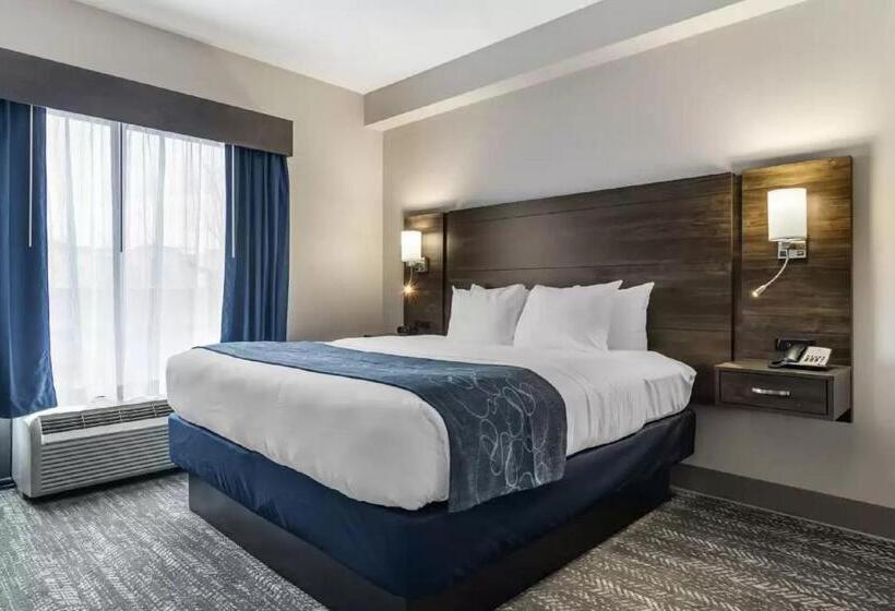 Люкс Кровать Кинг, Comfort Suites Mcdonough Atlanta South