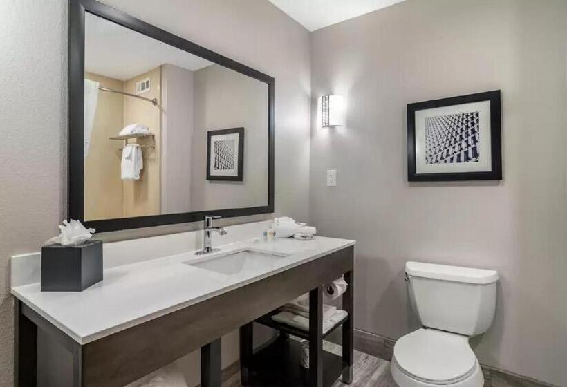 Люкс Кровать Кинг, Comfort Suites Mcdonough Atlanta South