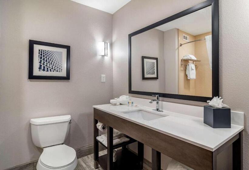 Люкс Адаптированный для Инвалидов, Comfort Suites Mcdonough Atlanta South