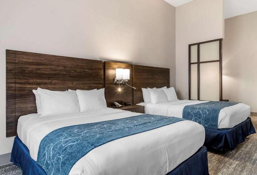 Люкс Адаптированный для Инвалидов, Comfort Suites Mcdonough Atlanta South