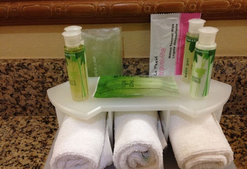 Люкс Адаптированный для Инвалидов, Holiday Inn Express Hotel And Suites Port Aransas/beach Area, An Ihg