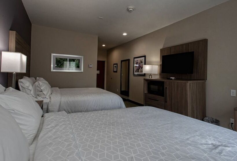 Люкс Адаптированный для Инвалидов, Holiday Inn Express Hotel And Suites Port Aransas/beach Area, An Ihg