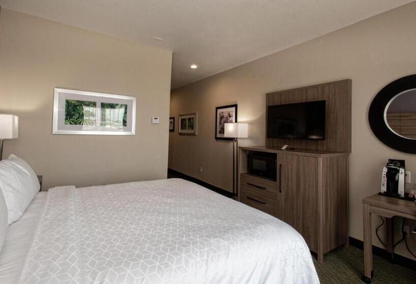 Стандартный Номер Кровать Кинг, Holiday Inn Express Hotel And Suites Port Aransas/beach Area, An Ihg