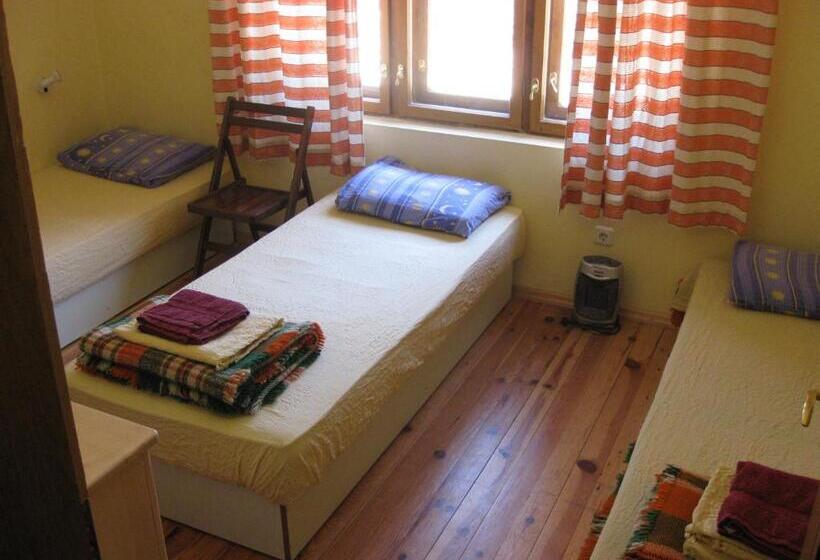 تختخواب در اتاق مشترک, Hostel Mostel