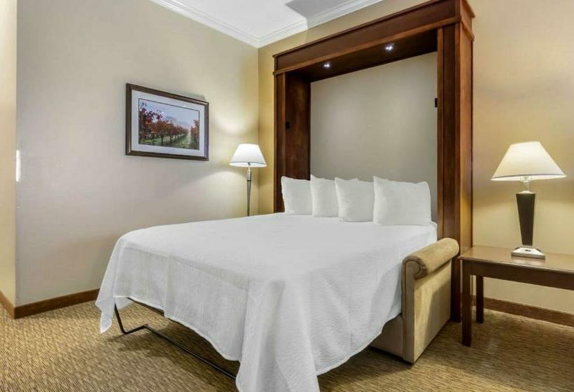 스위트 킹사이즈 침대, Best Western Plus Grapevine Inn