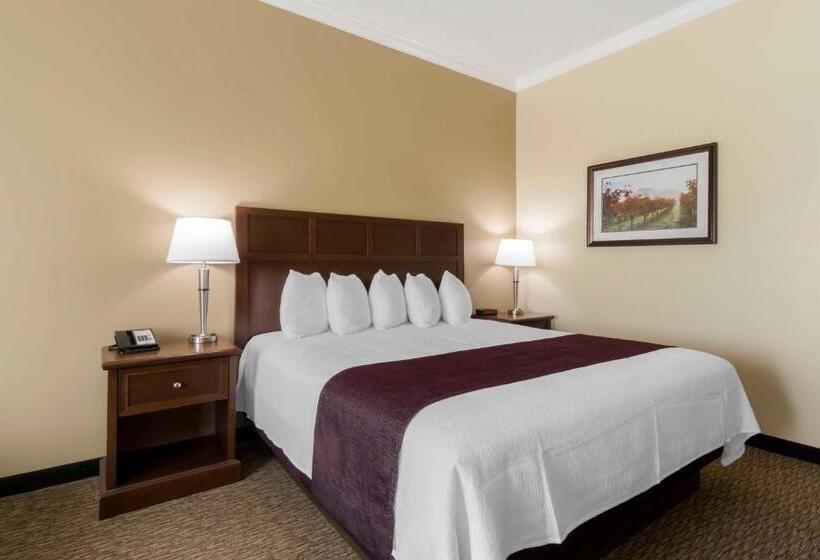 스탠다드 룸 킹사이즈 침대, Best Western Plus Grapevine Inn