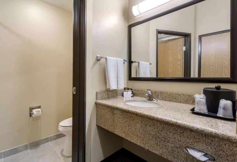 스탠다드 룸, Best Western Plus Grapevine Inn
