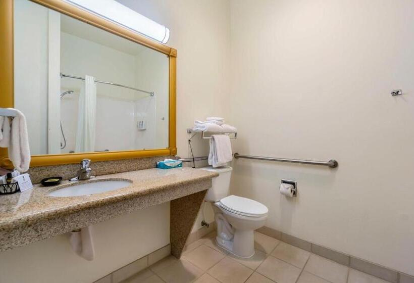 장애인을 위한 스탠다드 룸, Best Western Plus Grapevine Inn