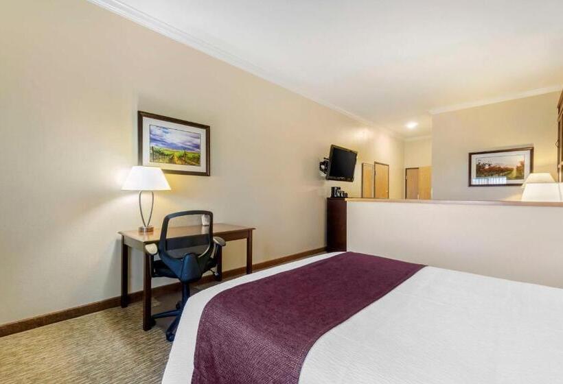 장애인을 위한 스탠다드 룸, Best Western Plus Grapevine Inn