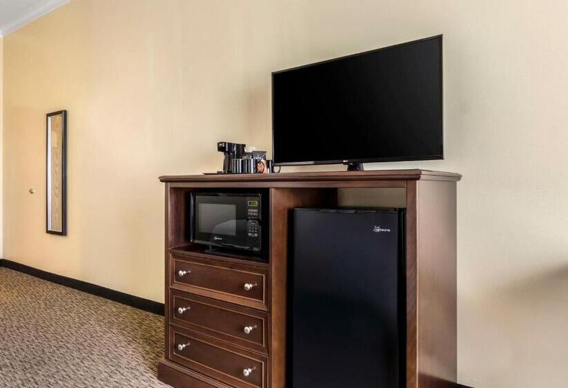 장애인을 위한 킹사이즈 침대 스탠다드 룸, Best Western Plus Grapevine Inn