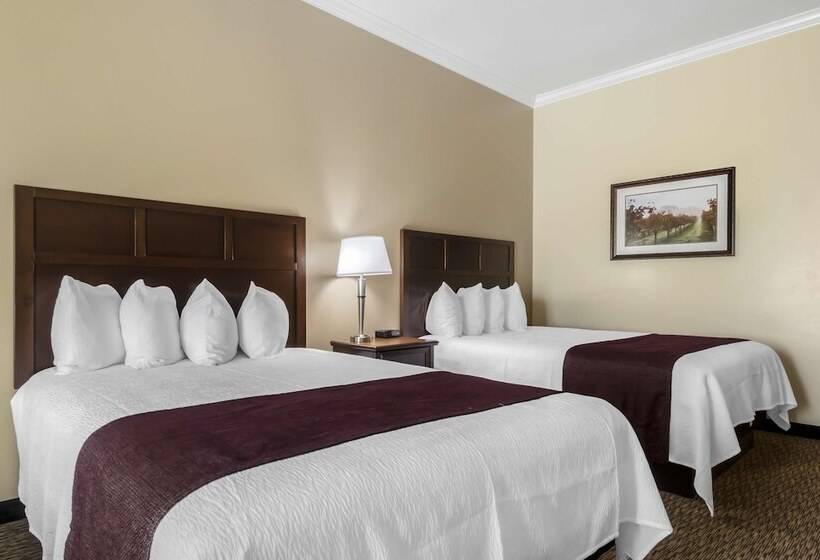 스탠다드 룸 더블 침대 2개, Best Western Plus Grapevine Inn