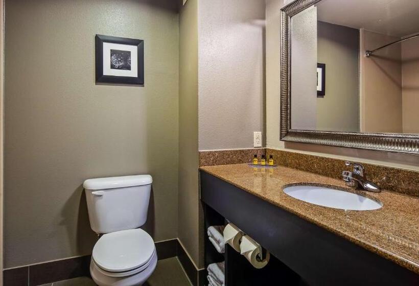 Номер Стандарт, Best Western Plus Midwest City Inn & Suites