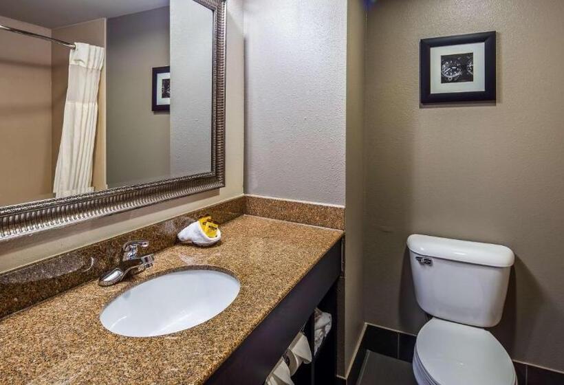 Люкс Кровать Кинг, Best Western Plus Midwest City Inn & Suites
