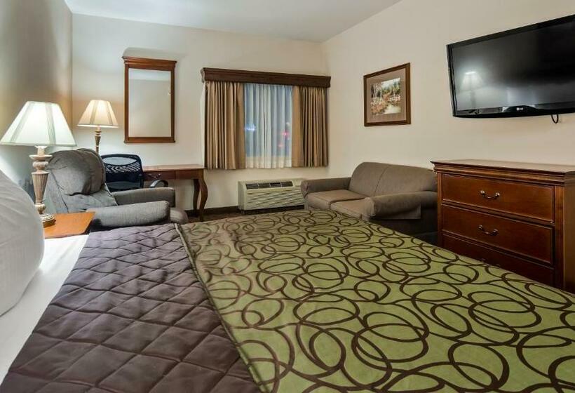스탠다드 룸 킹사이즈 침대, Best Western River Cities
