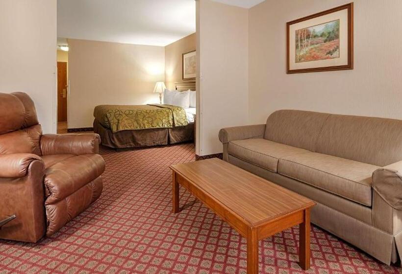 스위트 킹사이즈 침대, Best Western River Cities