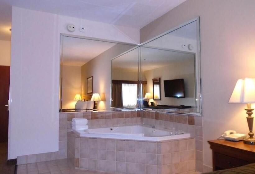 스탠다드 룸 킹사이즈 침대, Best Western River Cities
