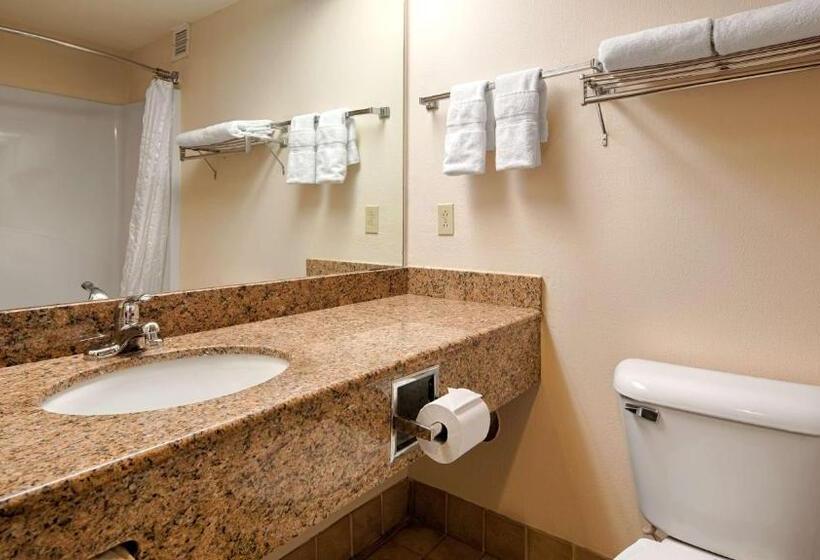 장애인을 위한 킹사이즈 침대 스탠다드 룸, Best Western River Cities