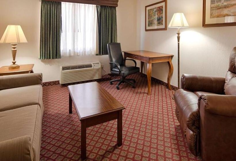 장애인을 위한 킹사이즈 침대 스탠다드 룸, Best Western River Cities