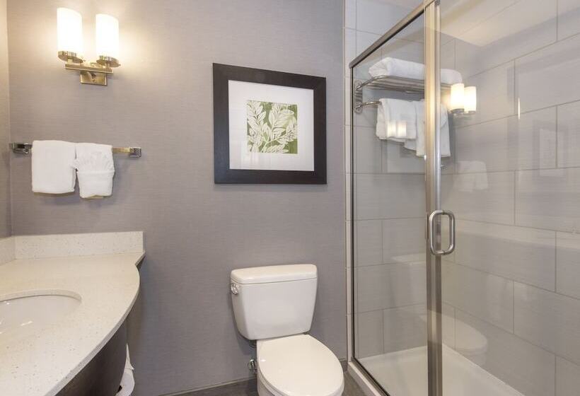 小型套房, Hilton Garden Inn Raleigh Cary