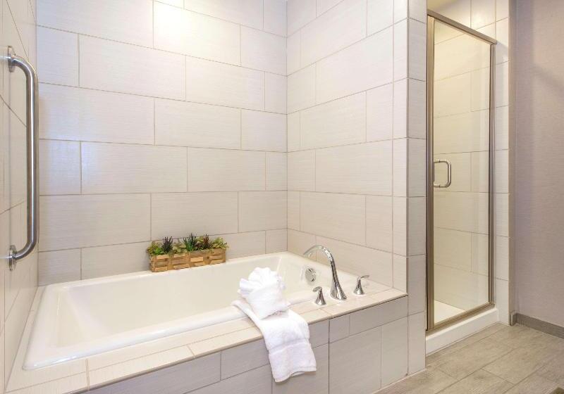 带大床的套房, Hilton Garden Inn Raleigh Cary