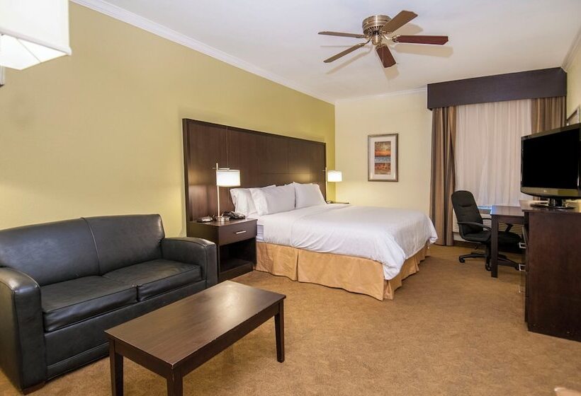 スタンダードルーム, Holiday Inn Express Hotel & Suites Houston North Intercontinental, An Ihg