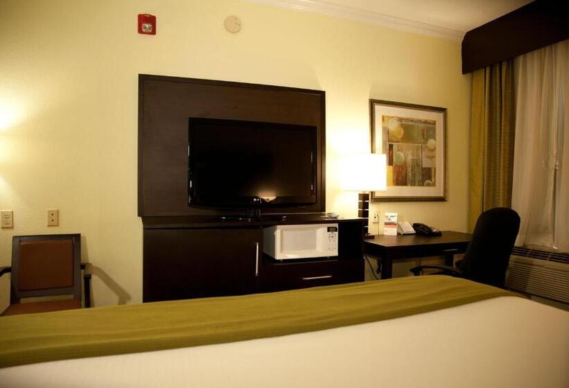 キングサイズベッドのスタンダードルーム, Holiday Inn Express Hotel & Suites Houston North Intercontinental, An Ihg