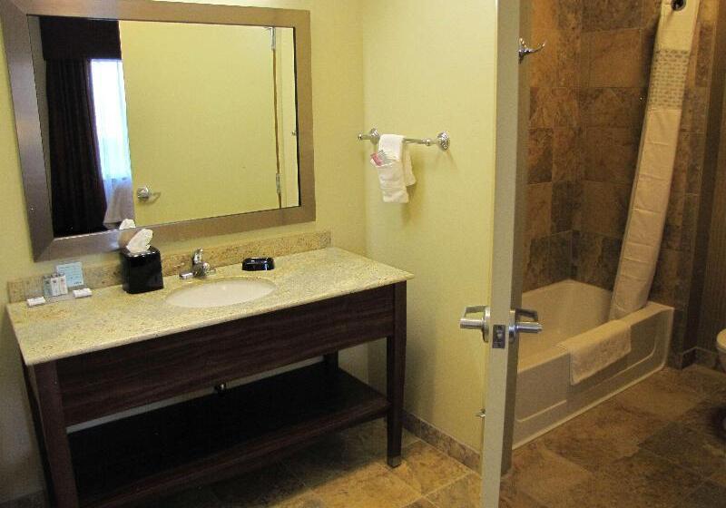 キングサイズベッドのスイートルーム, Holiday Inn Express Hotel & Suites Houston North Intercontinental, An Ihg